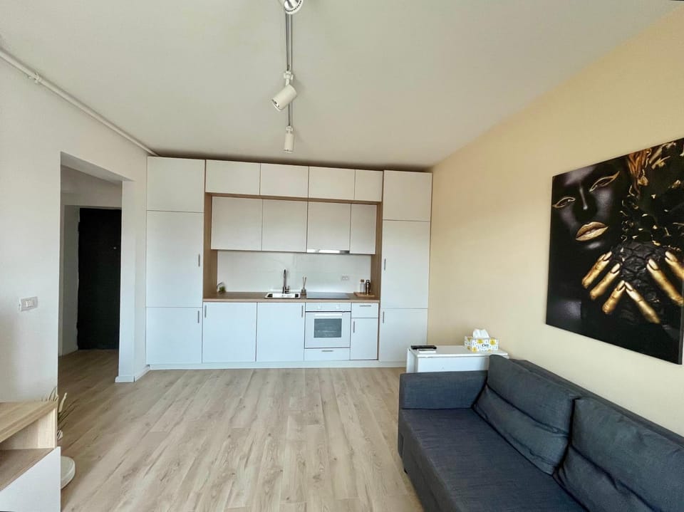 Kitchen or kitchenette, Living room, Seating area, stove