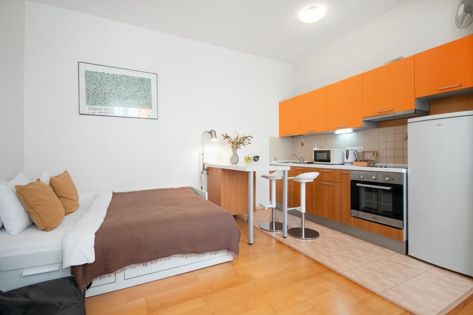 Heart of the City Studio Apartment in Prague