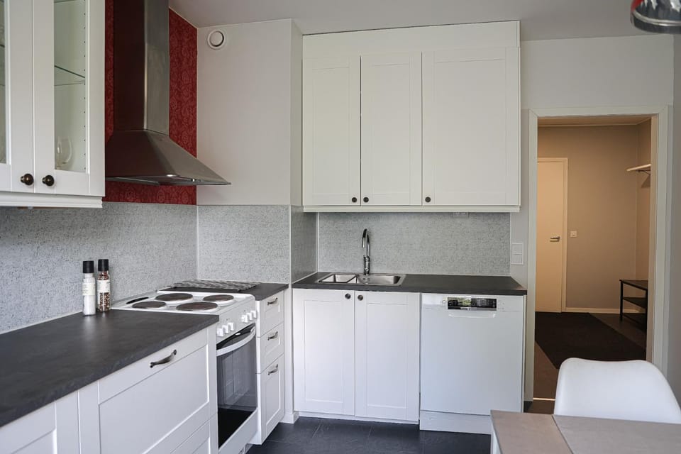 Kitchen or kitchenette, dishwasher, stove