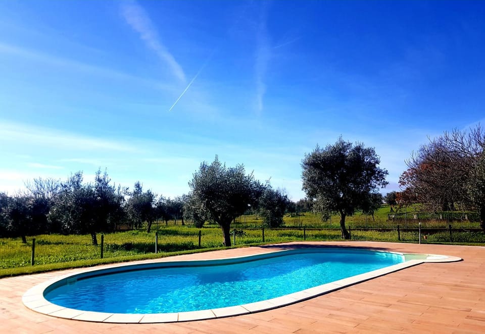 Pool view, Swimming pool
