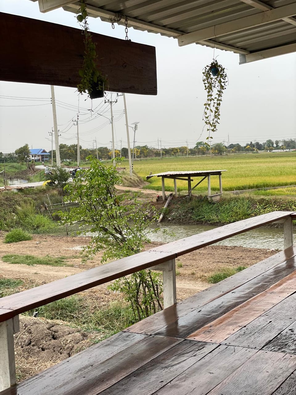 BanYat Farm Stay Apartment in Laos