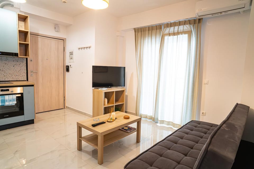 Communal lounge/ TV room, TV and multimedia, Kitchen or kitchenette, Living room, Photo of the whole room, Decorative detail, Seating area, oven, air conditioner