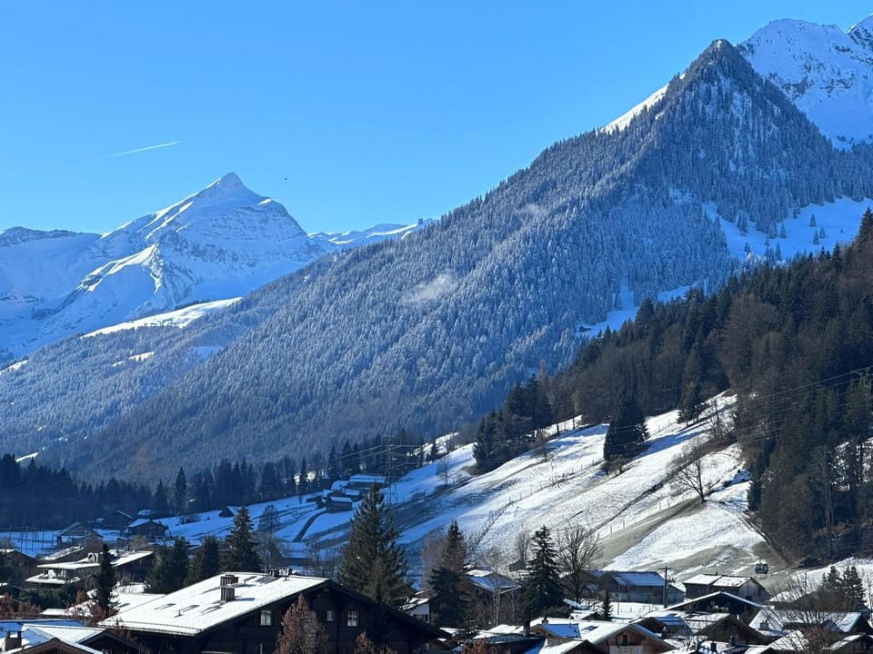 4-bedroom Chalet in the Heart of Gstaad Apartment in Saanen