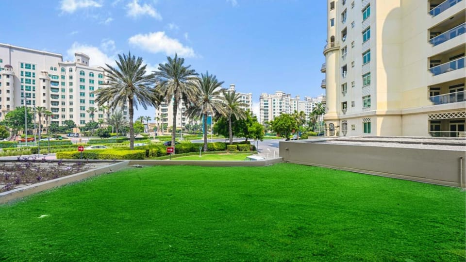 Day, City view, Location