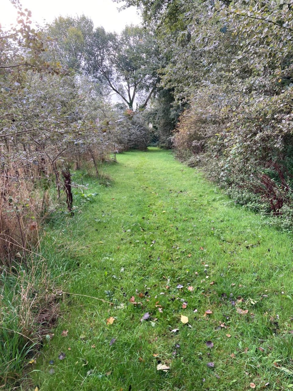 Romantic Country Cottage with Private Hot Tub House in Rowde