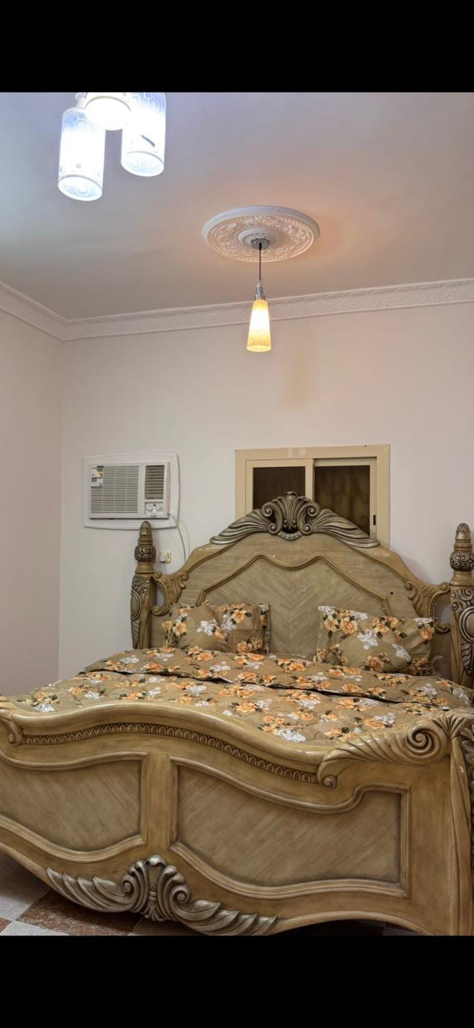 شقه ومزرعه وحوش Apartment in Saudi Arabia