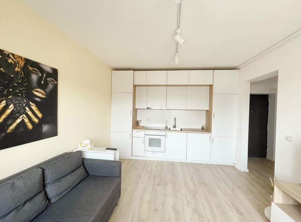 Kitchen or kitchenette, Living room, Seating area, stove