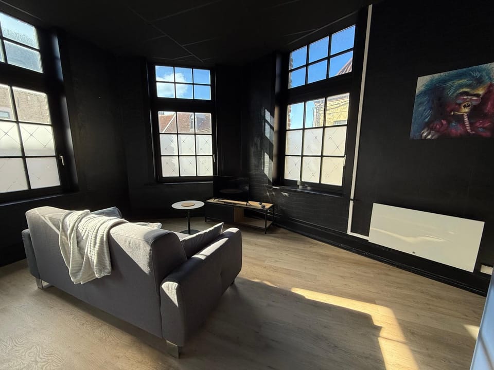 La Symphonie 2 Charmant appartement en centre-ville Apartment in Hauts-de-France