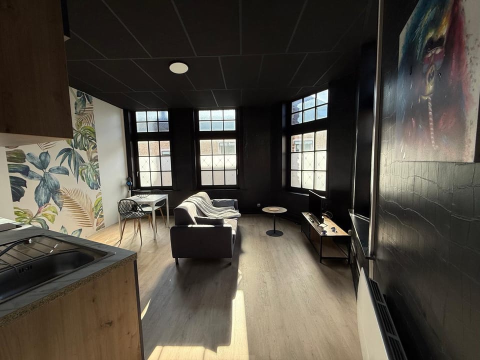 La Symphonie 2 Charmant appartement en centre-ville Apartment in Hauts-de-France