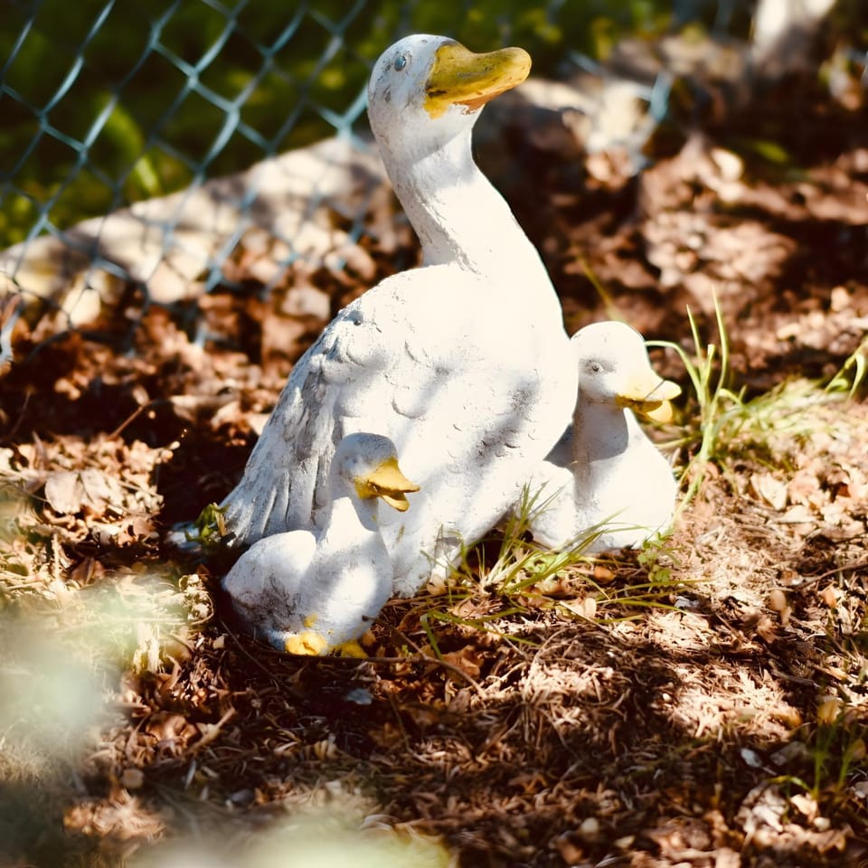 Fuchsbau Voßwinkel House in Arnsberg