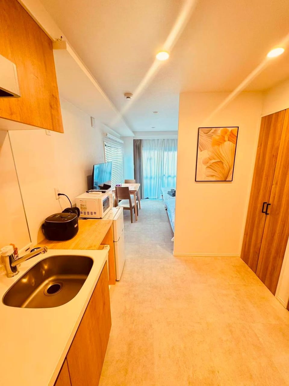 Simplex-Iriya Hotel in Japan