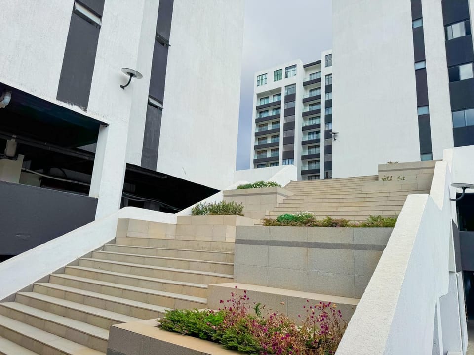 Property building, Day