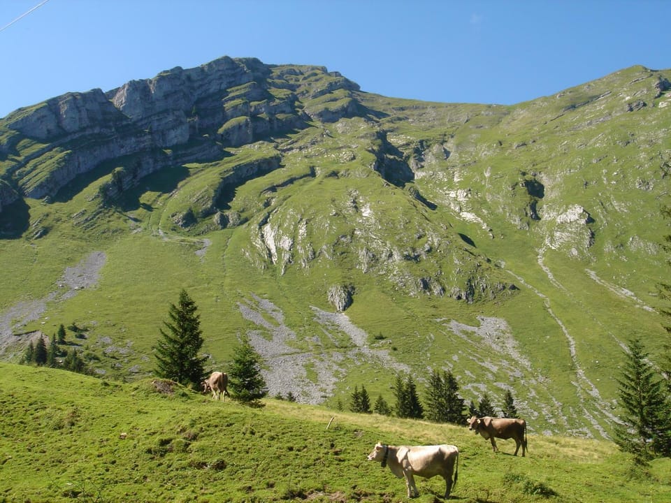 Natural landscape, Mountain view
