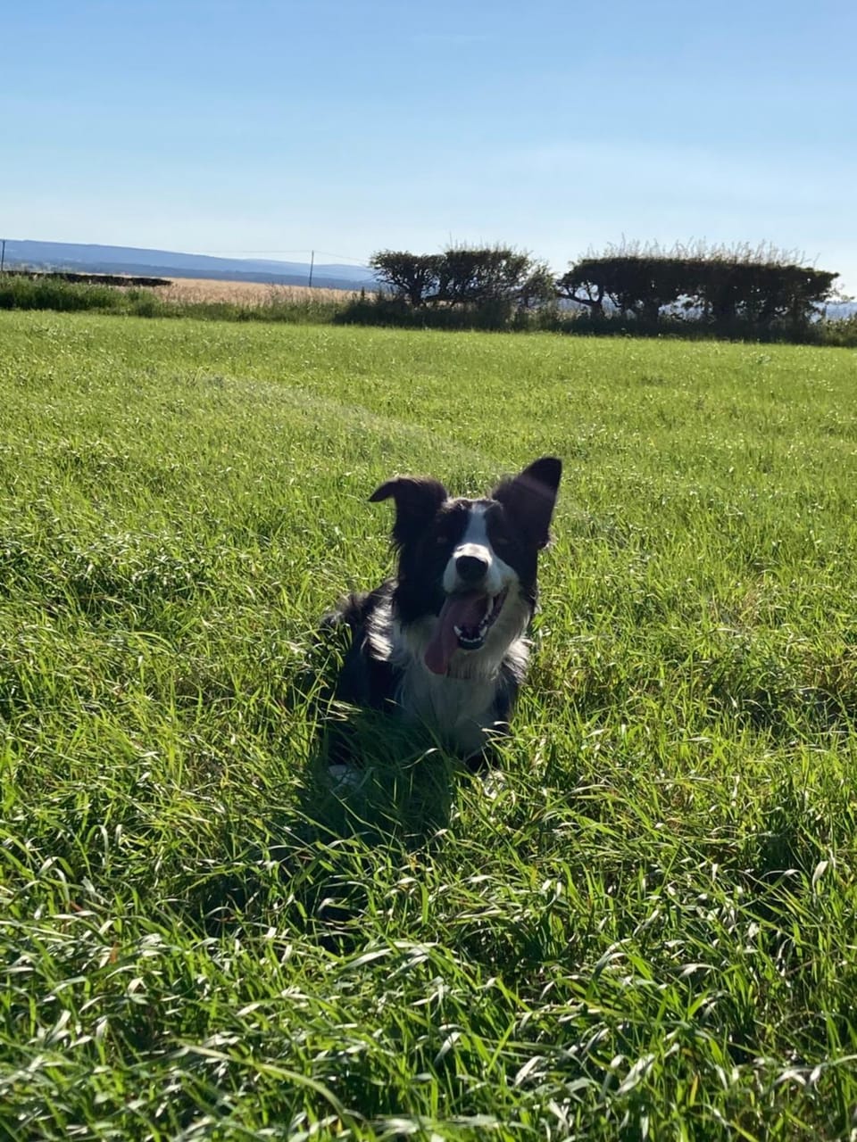 Bowlers Hill Campsite Campground/ 
RV Resort in England