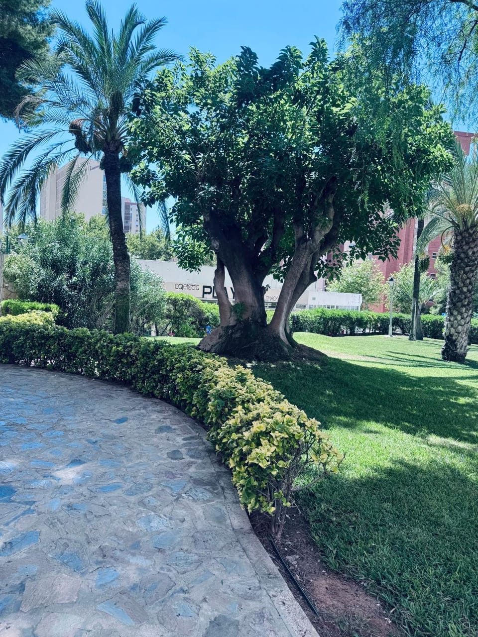 Natural landscape, Garden, Garden, Garden view