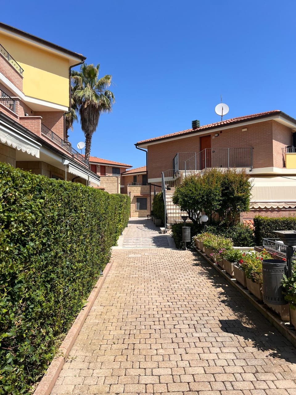 Property building, Garden, Garden view