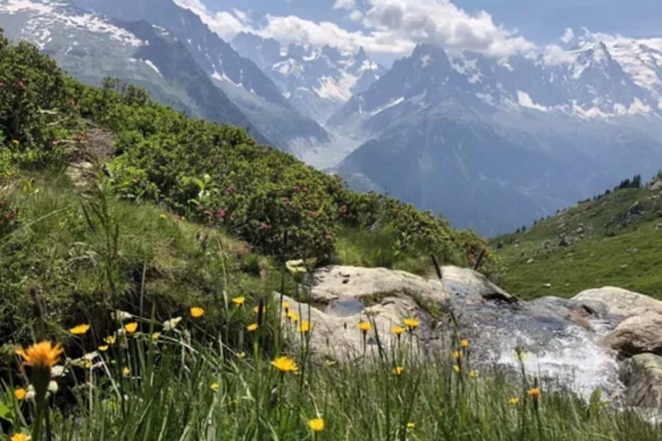 Cozy stay Mont-Blanc view Top location Apartment in Chamonix