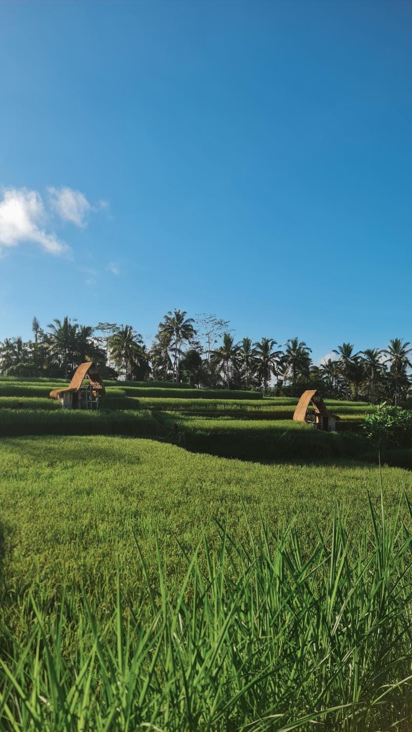 Natural landscape