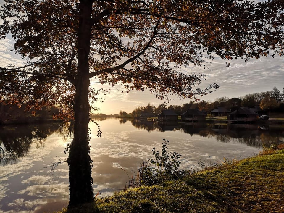Natural landscape, Fishing, Lake view