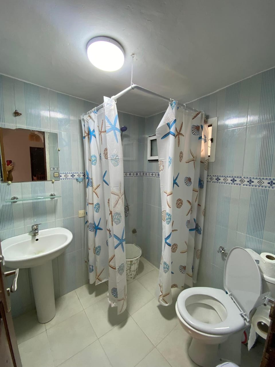 Shower, Toilet, towels