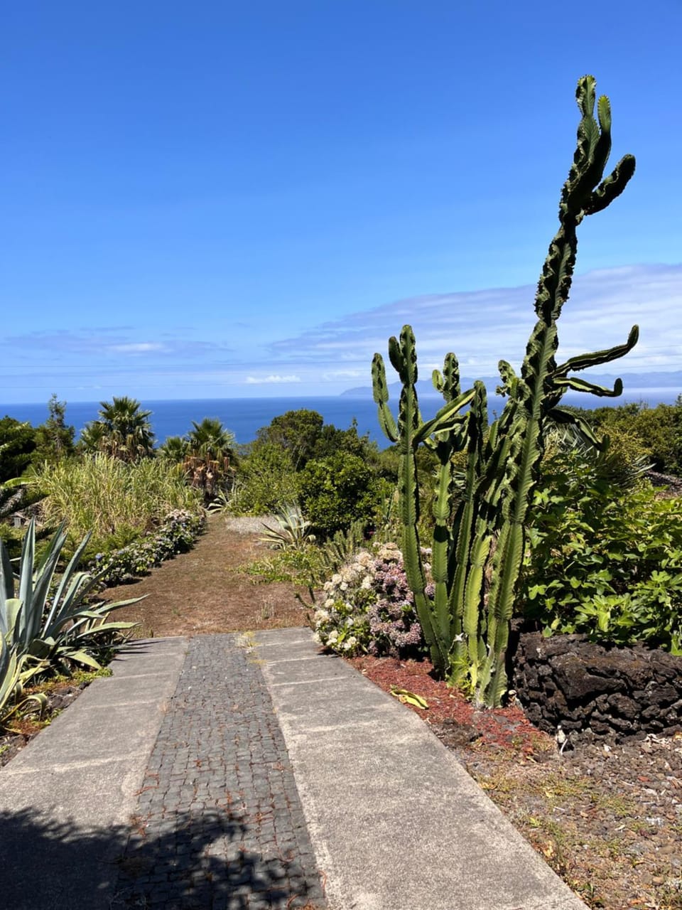Garden, Sea view