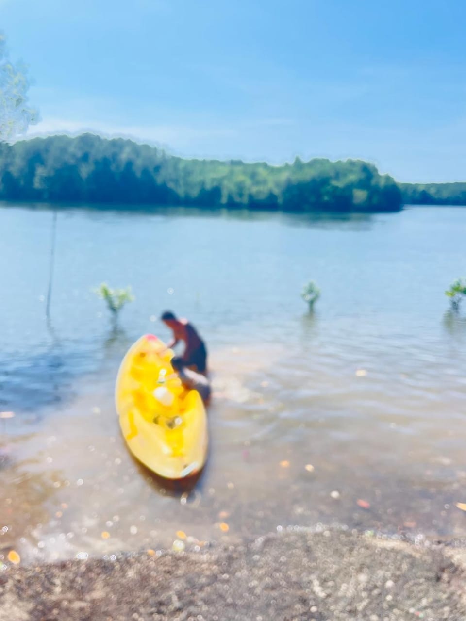 Natural landscape, Activities, Guests, Lake view