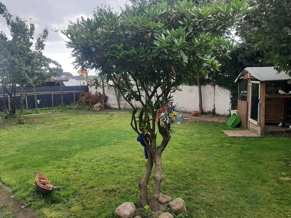 Property building, Garden