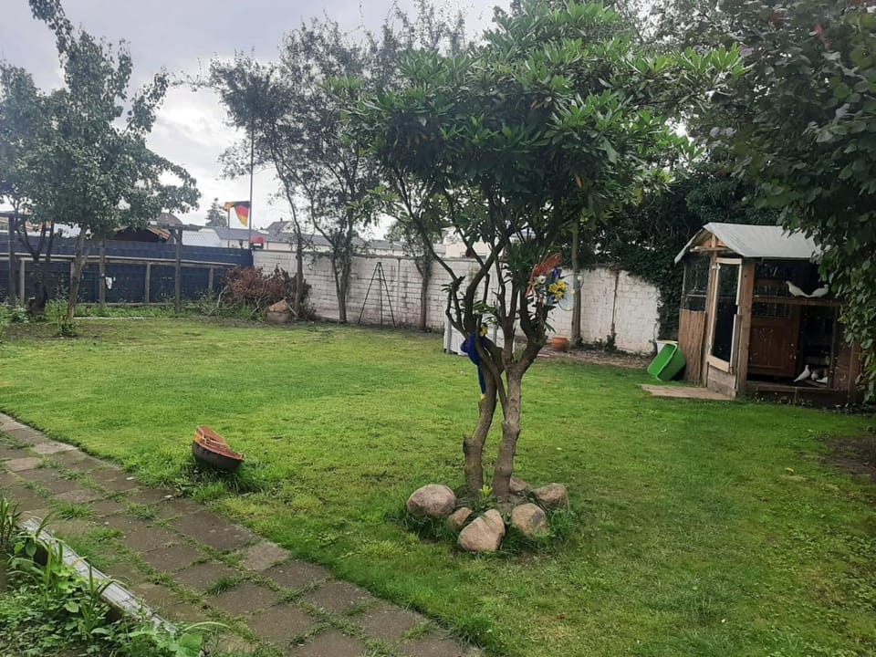 Property building, Garden, Garden view