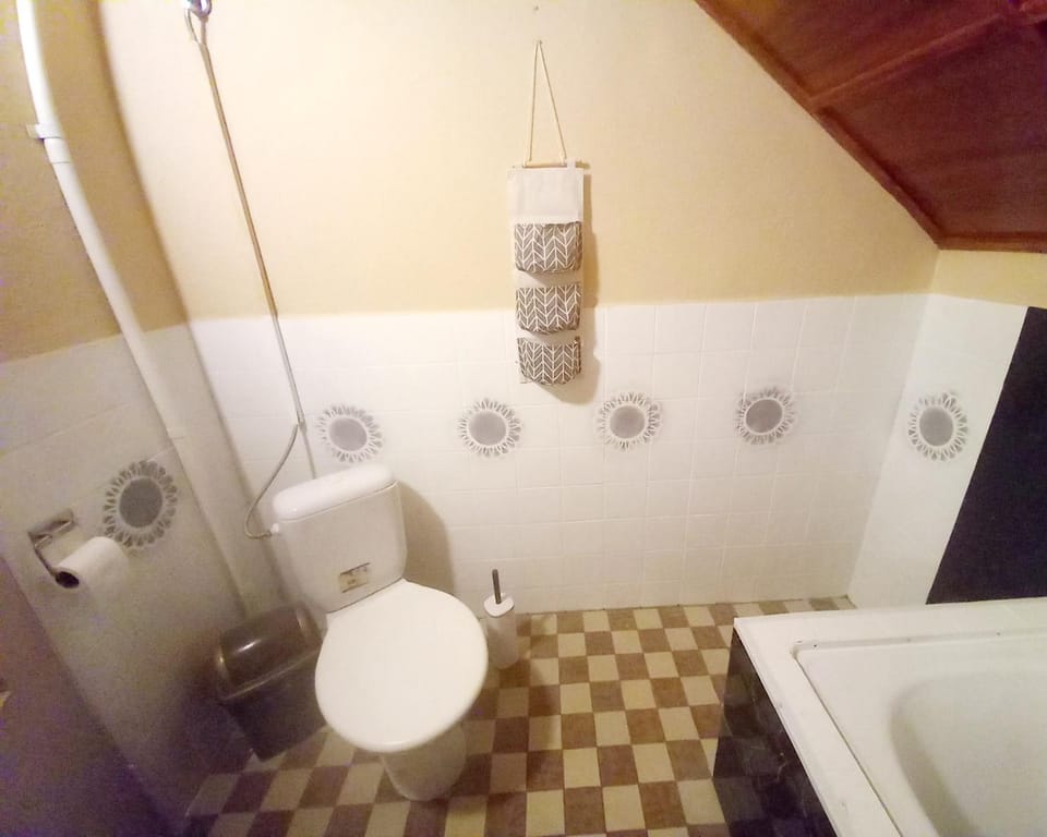 Toilet
