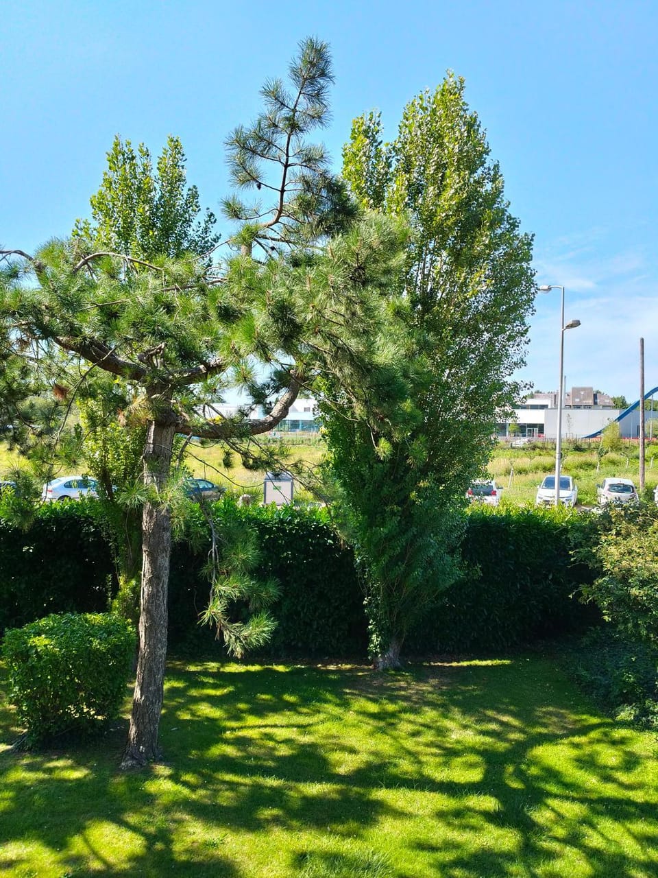 Garden view