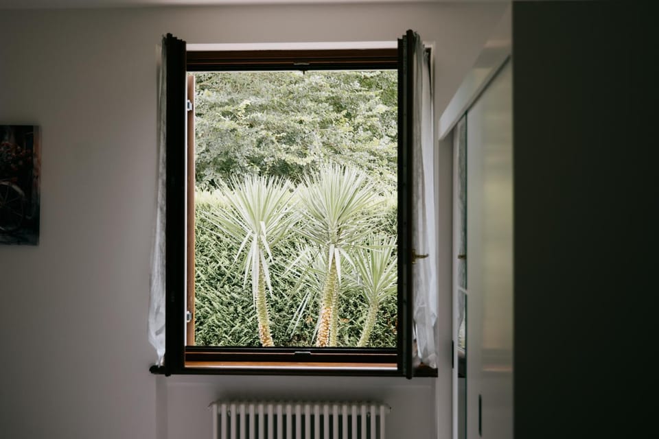 Garden, Bedroom, Garden view, internet