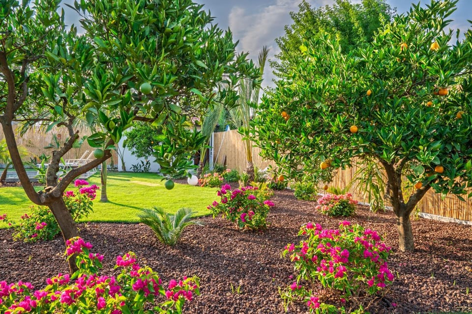 Garden view