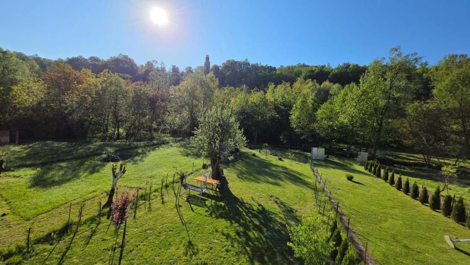 Vila SVITAC Banja Vrujci Villa in Serbia