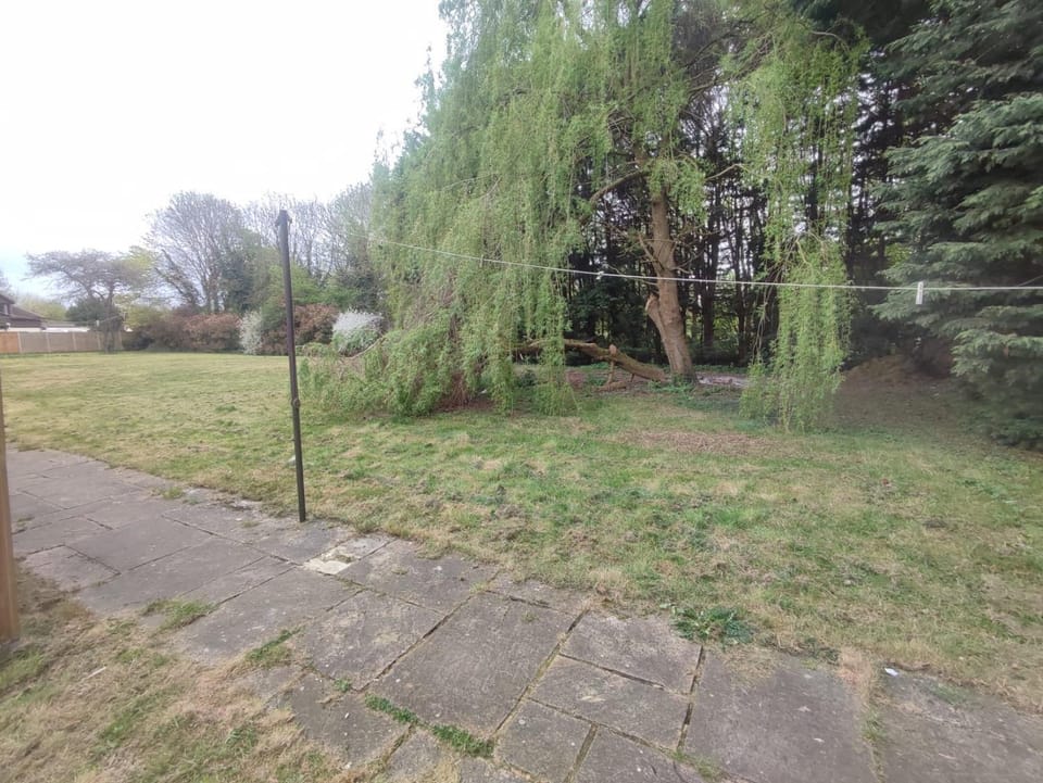 Natural landscape, View (from property/room), Garden view