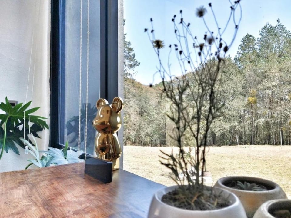 Hermoso y cómodo Loft Campestre Luxury tent in Hidalgo, Mexico