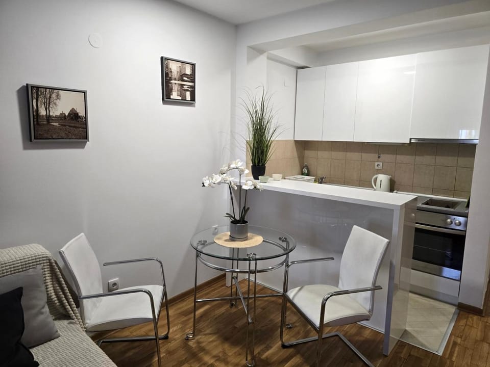 Kitchen or kitchenette, Living room, Seating area, Dining area, minibar, oven, pet friendly, stove