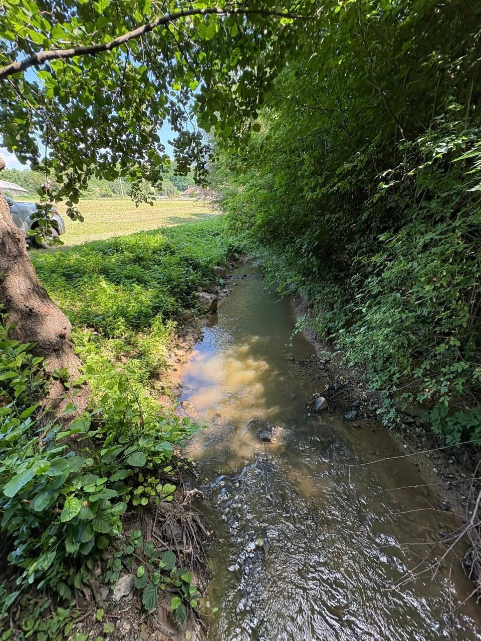 Natural landscape, River view