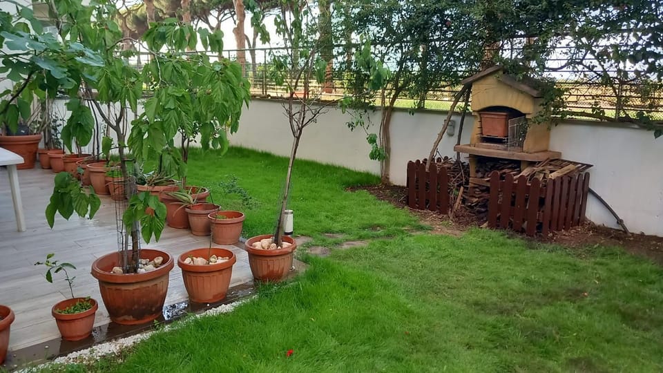 Garden, Garden