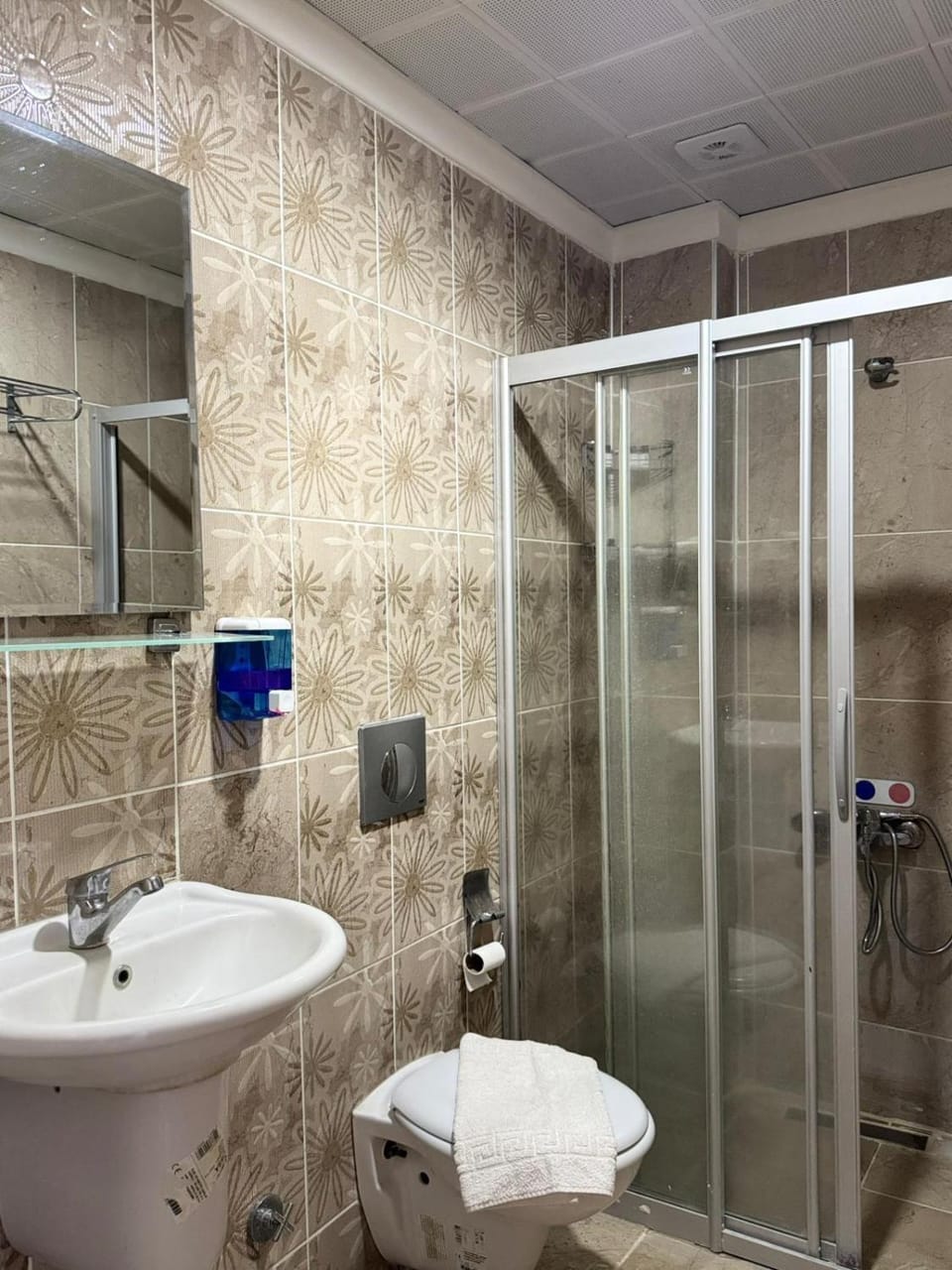 Shower, Toilet, Bathroom, towels