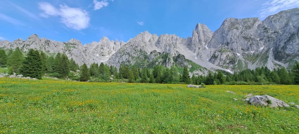 BROWN DOLOMYTE Apartment Apartment in Province of Brescia
