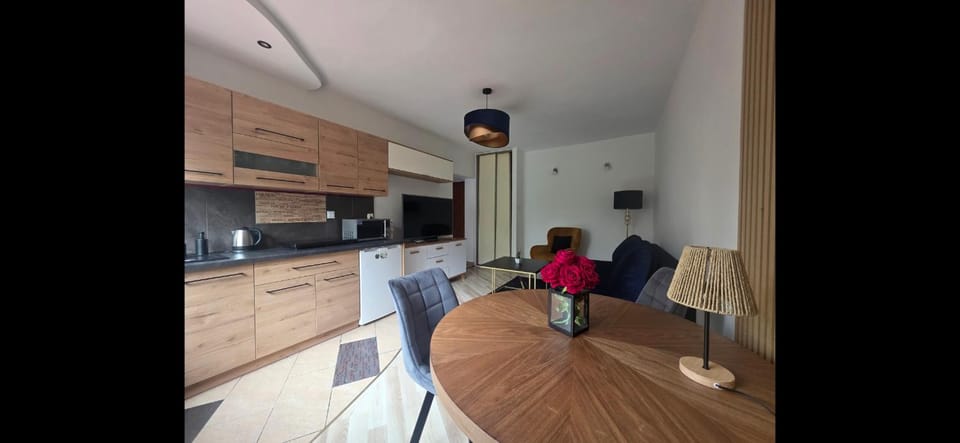 Pogodne Mieszkanko Apartment in Lower Silesian Voivodeship