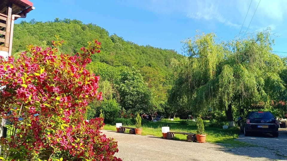 Garden view, Mountain view