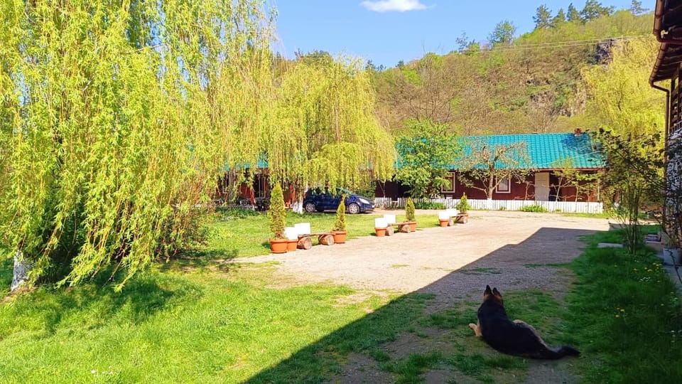 Property building, Garden view