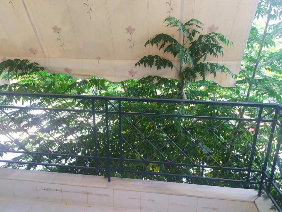 Pavlos 1st Floor Apartment in Kalamata Apartment in Messenia