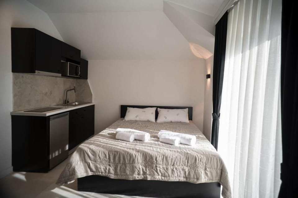 Newborn Studio Apartments Apartment in Serbia