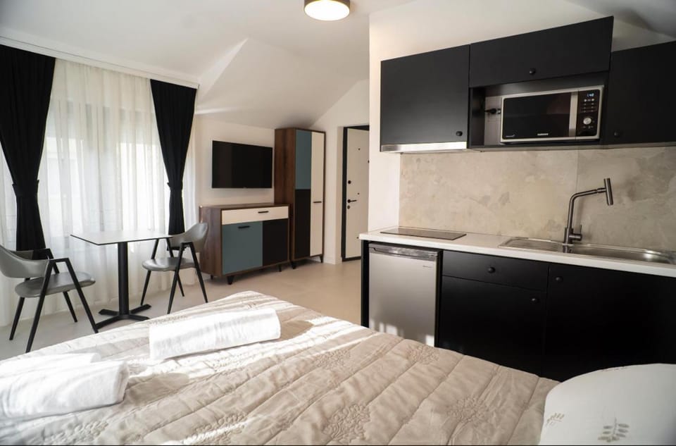 Newborn Studio Apartments Apartment in Serbia