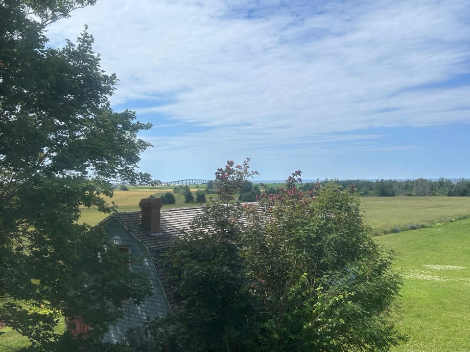 Spring, Day, Natural landscape