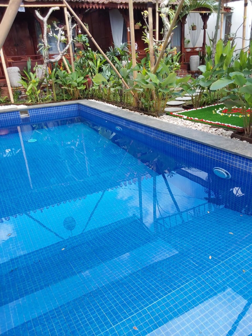 Day, Pool view, Swimming pool