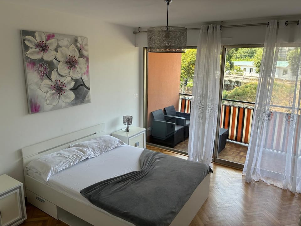 Nice vauban Apartment in Nice