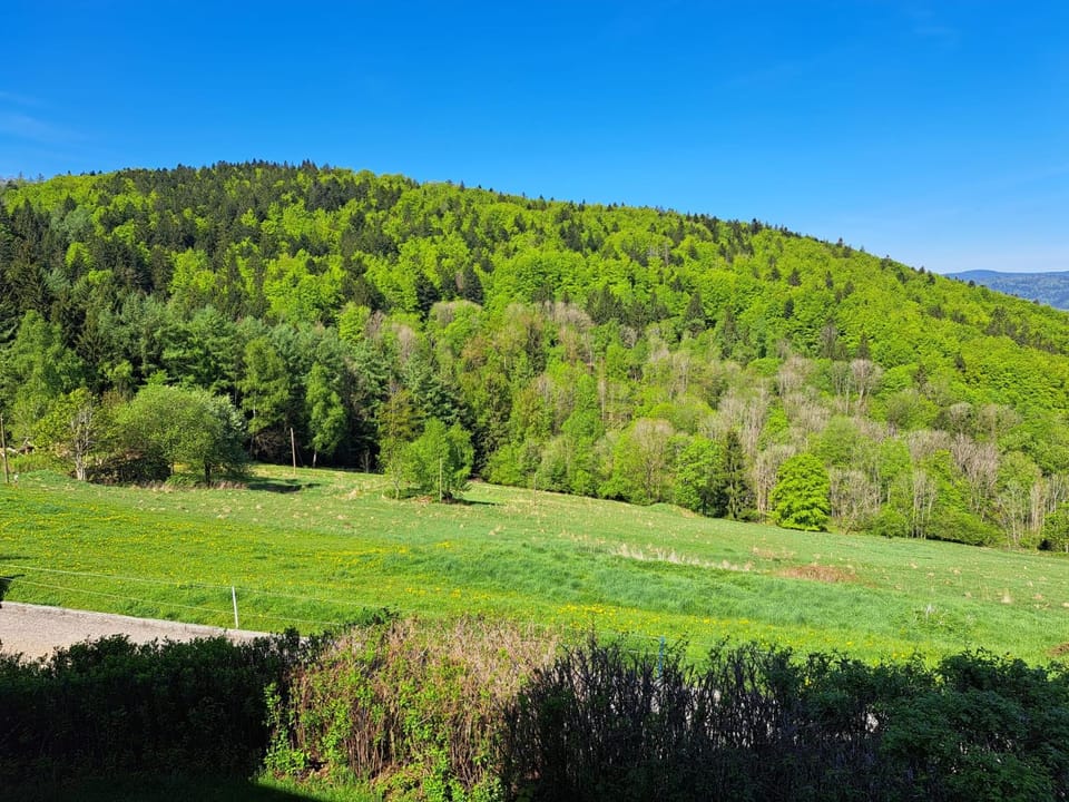 Natural landscape